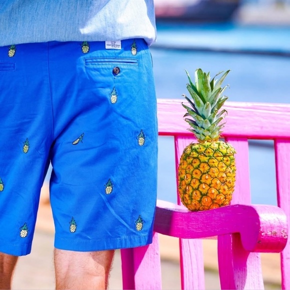 Vineyard Vines Mens Breaker Shorts Pineapple Regatta Blue Sz 32 Preppy Summer - Picture 9 of 9